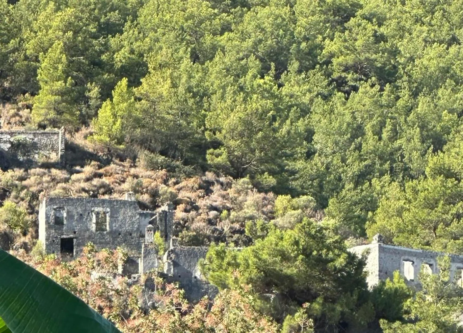 פאטהיה Villa Plum Garden